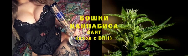 молекула духа Пестово