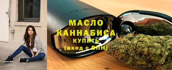 молекула духа Пестово