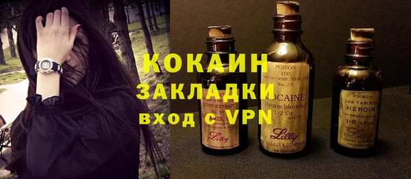 молекула духа Пестово