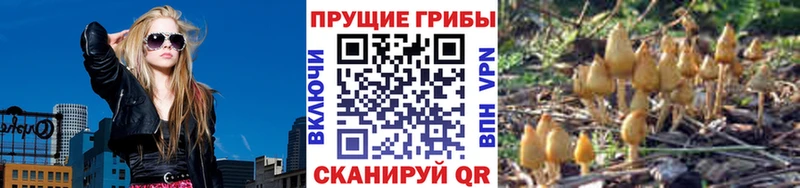 OMG рабочий сайт  Анадырь  Галлюциногенные грибы Magic Shrooms 